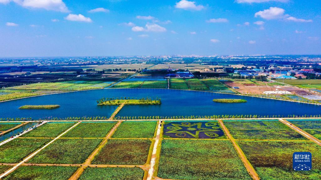 银河百家乐